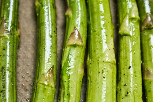 Fototapeta Naklejka Na Ścianę i Meble -  Asparagus Stems Extreme Close Up