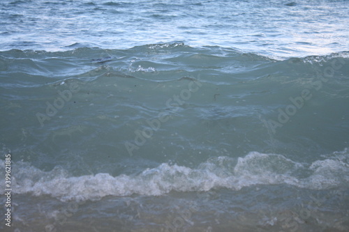 wave on the beach © Annie