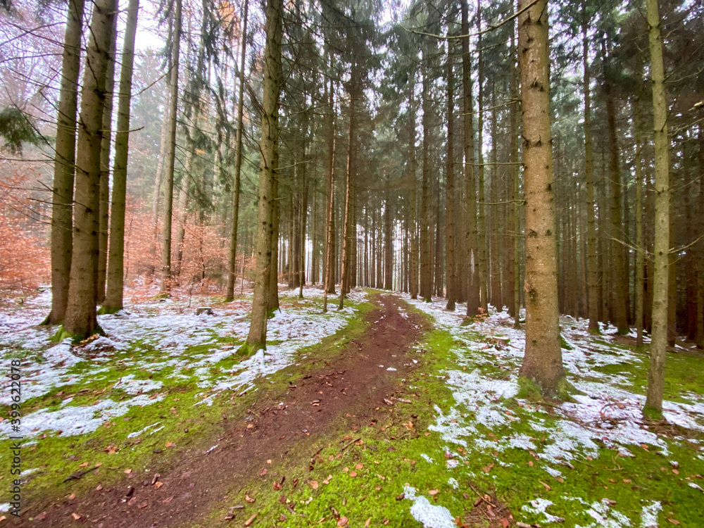 Bavarian snow path though the forest walk Bavarian snow path though the forest walk