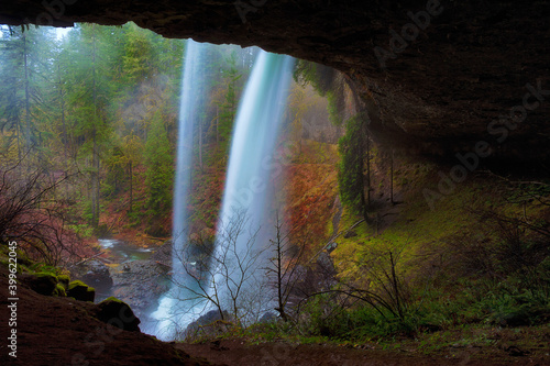 Behind North Falls at Silver Falls State Park