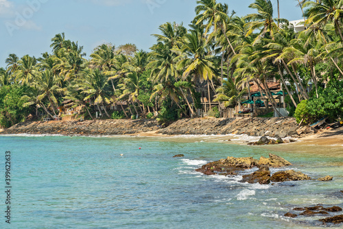 Mirissa tropical palm beach sea view, Sri Lanka