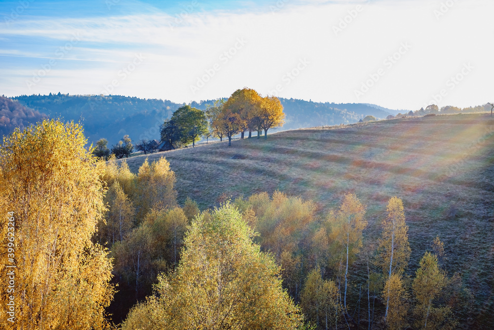 Fototapeta premium beautiful autumn landscapes in the Romanian mountains