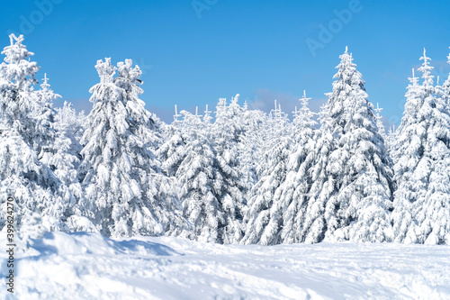 Uludag winter landscape snow forest background © sg.photogram