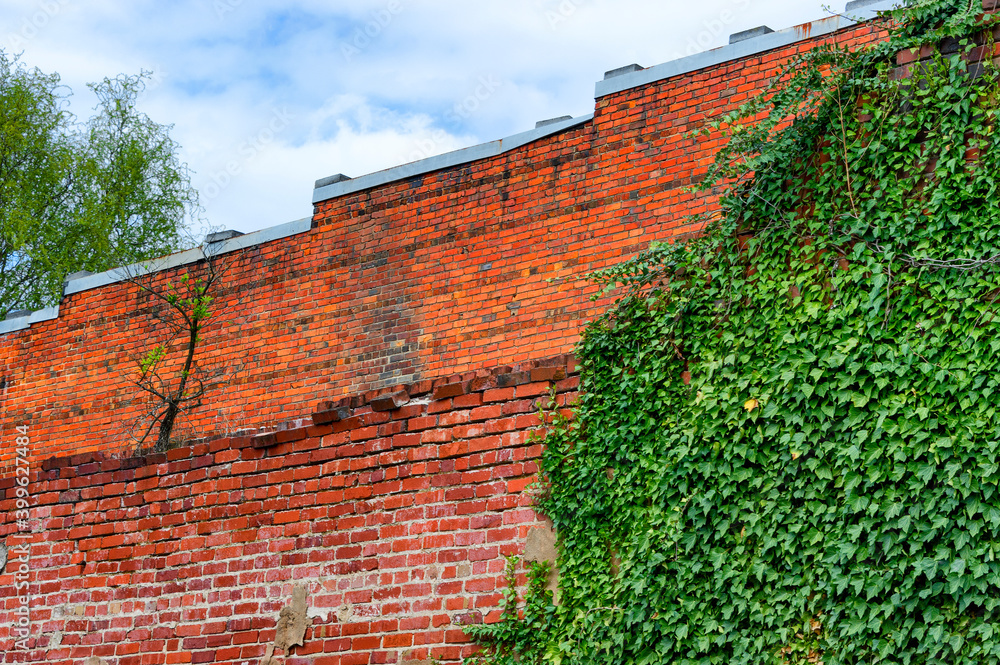 Brick Building with ivy growning on it.