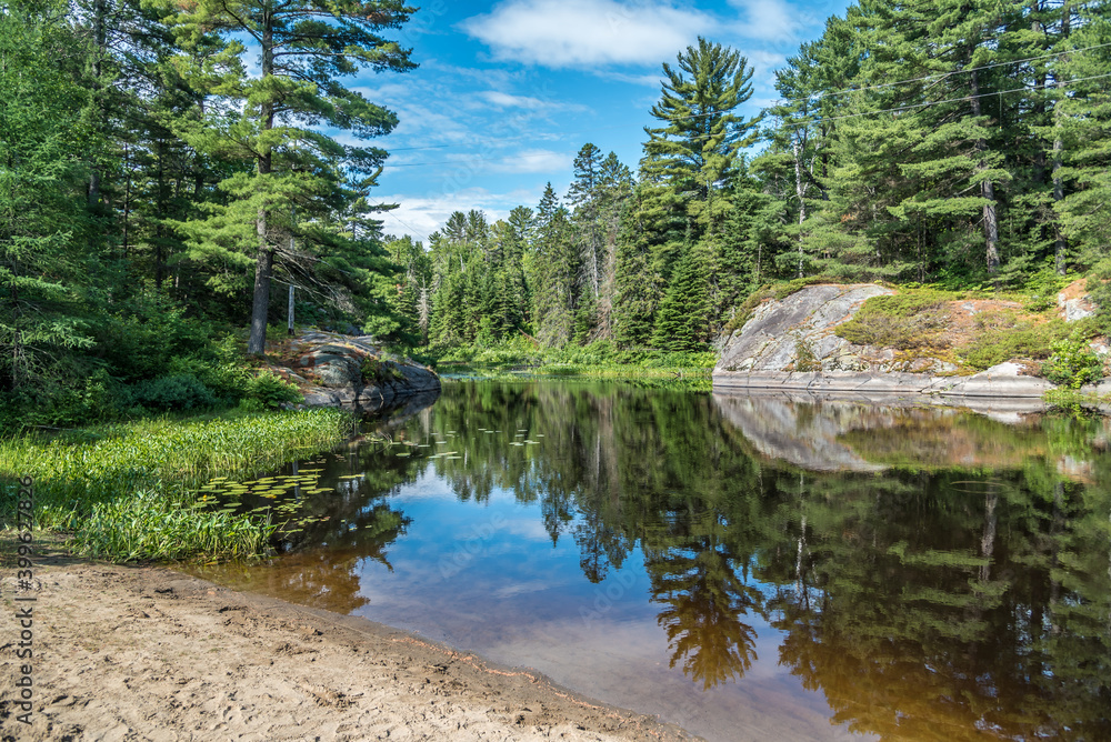 Fototapeta premium Forest lake