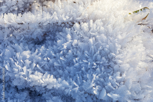 Winter, frost and snow in large flakes and crystals lies on the grass and branches in the light of the evening sun, background.