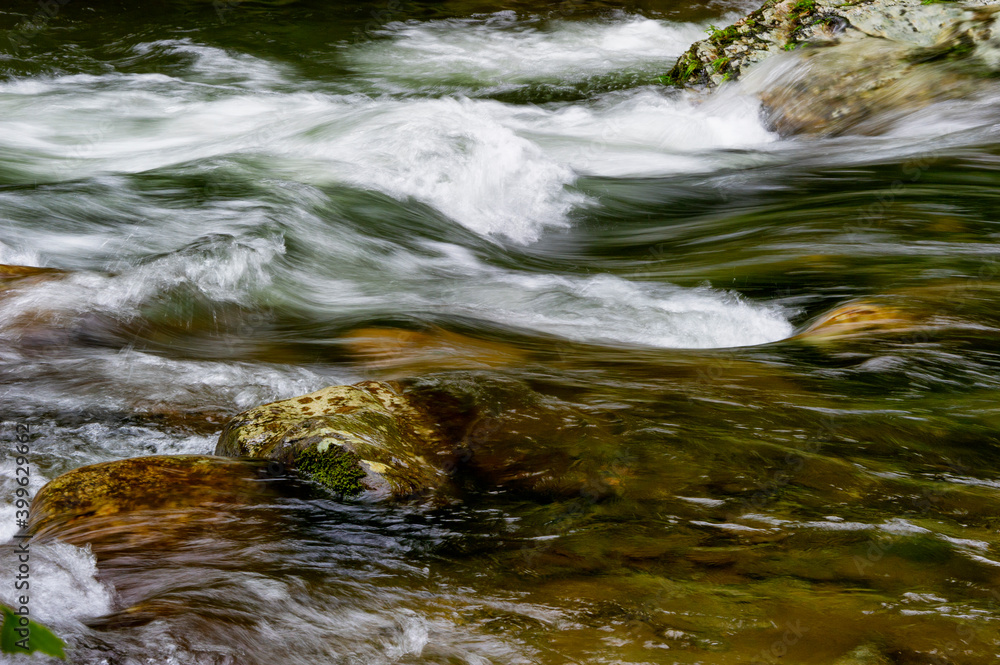 Laurel Creek  in The Tennessee Smoky Mountains