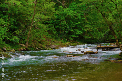 Laurel Creek in The Tennessee Smoky Mountains