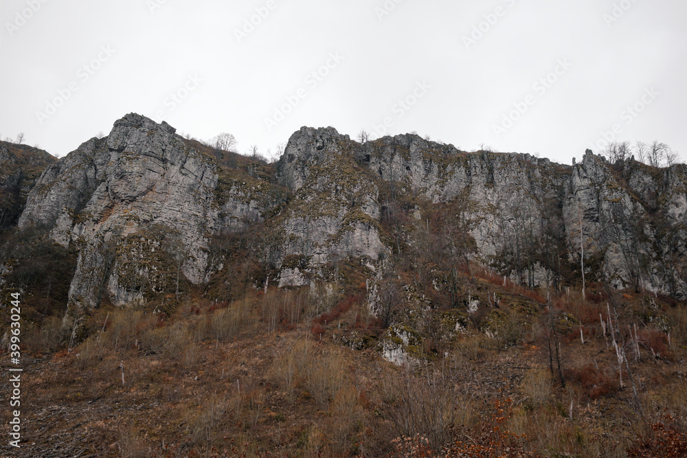 Impressive rocky cliff covered by colorful moss and autumn colored plants in front and at the top Impressive rocky cliff covered by colorful moss and autumn colored plants in front and at the top