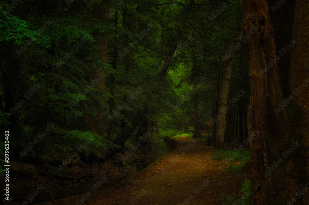 Shady Trail in Cades Cove Valley in The Tenneessee Smoky Mountains Shady Trail in Cades Cove Valley in The Tenneessee Smoky Mountains