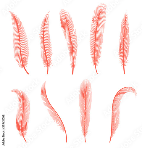 Coral detailed feathers of bird collection. Vector decorative fluffy pink feathers of flamingo or goose. Set plume icon isolated on white background