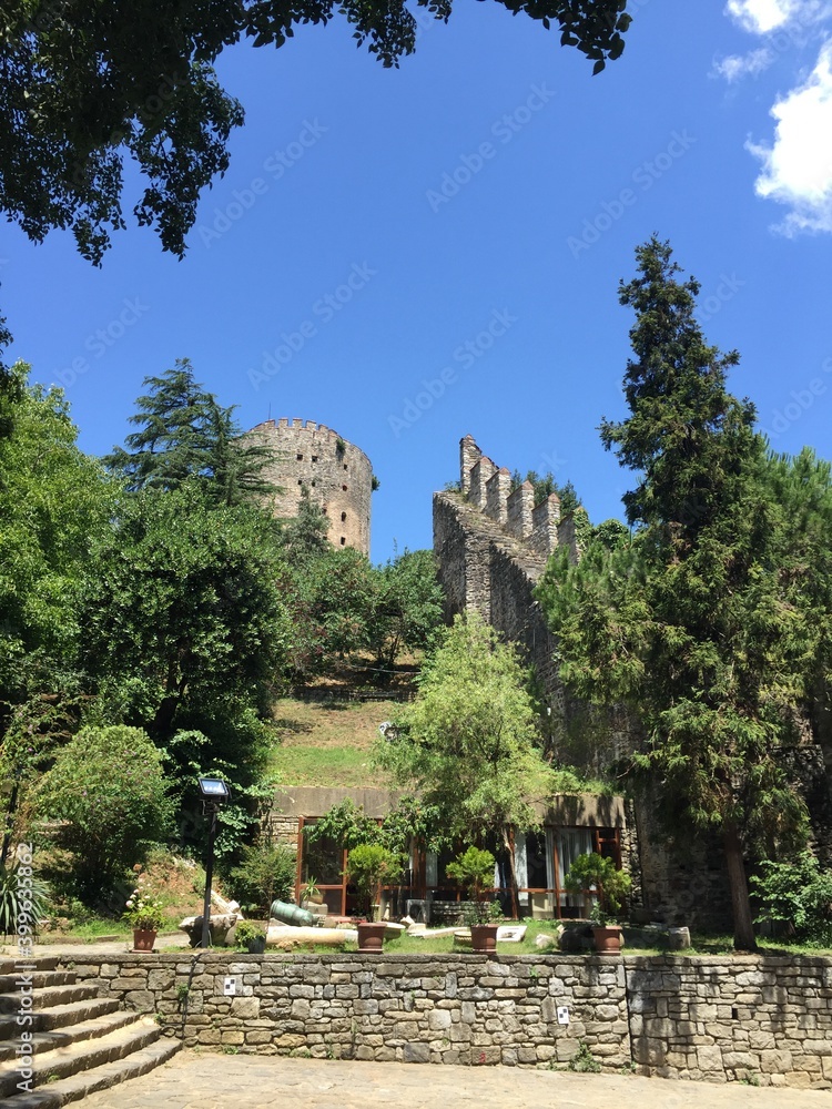 ruins of the castle