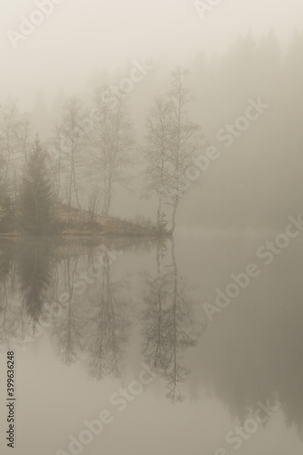 Misty morning by the forest lake. Trees and surroundings are reflected on the water surface.