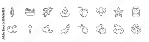 outline set of fruits line icons. linear vector icons such as salad, olives, paprika, carambola, mason jar, breast milk fruit, carrot, tangerine, aubergine, apricot, potato