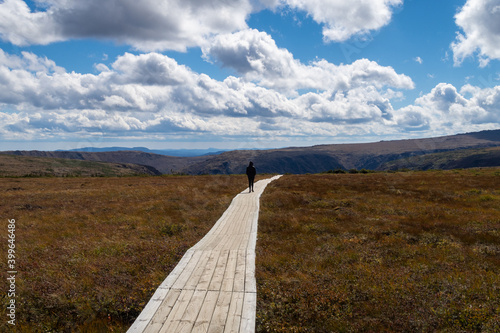 Back view of a hiker walking on a wooden path at the summit of the Mount Albert, in the Gaspésie national park, Canada photo
