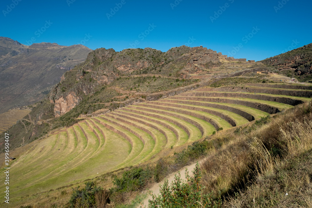 Inca plantations