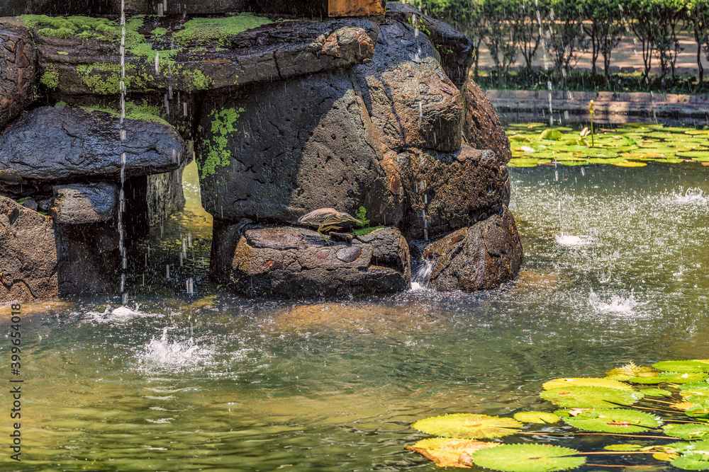waterfall in the park