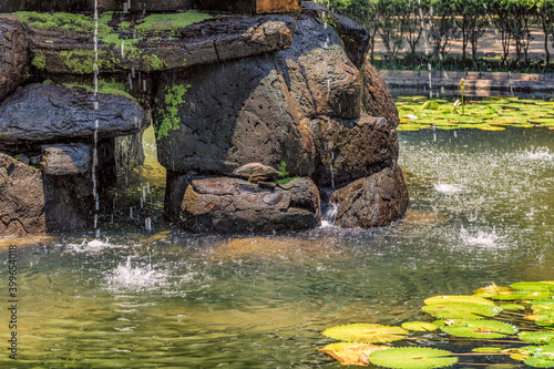 Obraz na płótnie waterfall in the park w salonie