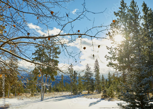 frasier colorado, colorado, granby colorado, weekend getaway, getaway, travel, mountains, fresh powder, fresh snow, morning snow, ski season, sugar trees, sugar winter, evergreen photo