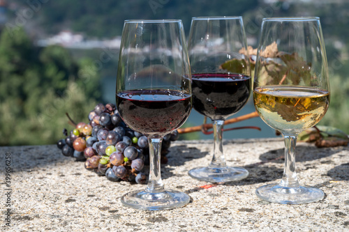 Outdoor tasting of different fortified port wines in glasses in sunny autumn, Douro river Valley, Portugal