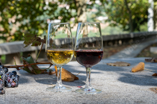 Outdoor tasting of different fortified port wines in glasses in sunny autumn, Douro Valley, Portugal