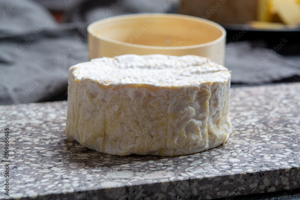 Cheese collection, French soft Camembert of Normandy cheese made from cow milk in region Normandy, France Cheese collection, French soft Camembert of Normandy cheese made from cow milk in region Normandy, France