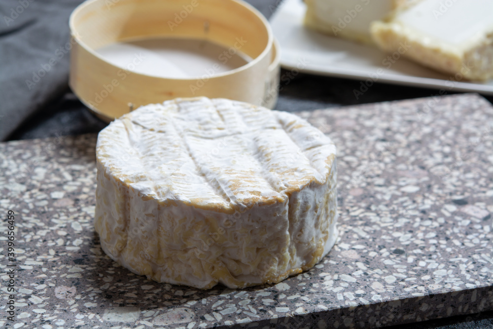 Cheese collection, French soft Camembert of Normandy cheese made from cow milk in region Normandy, France Cheese collection, French soft Camembert of Normandy cheese made from cow milk in region Normandy, France