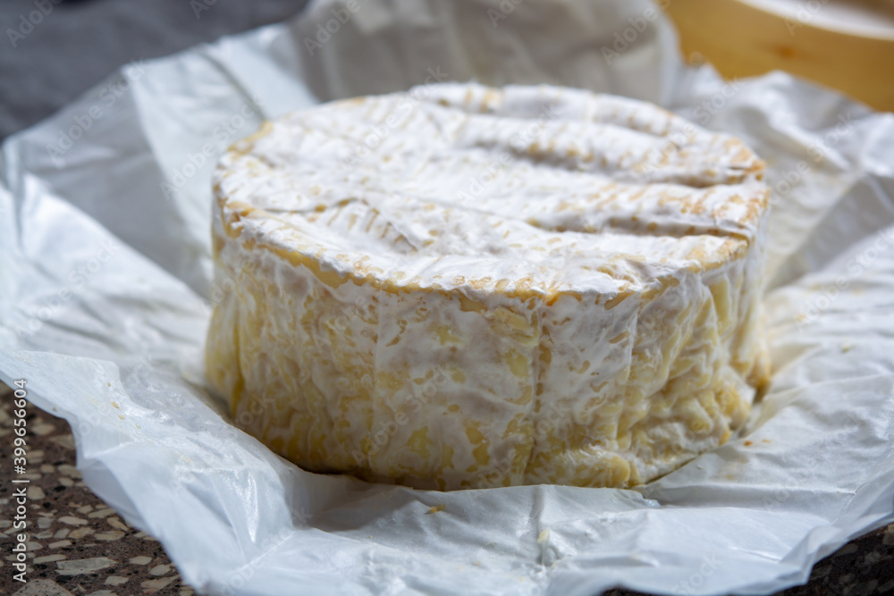 Cheese collection, French soft Camembert of Normandy cheese made from cow milk in region Normandy, France Cheese collection, French soft Camembert of Normandy cheese made from cow milk in region Normandy, France
