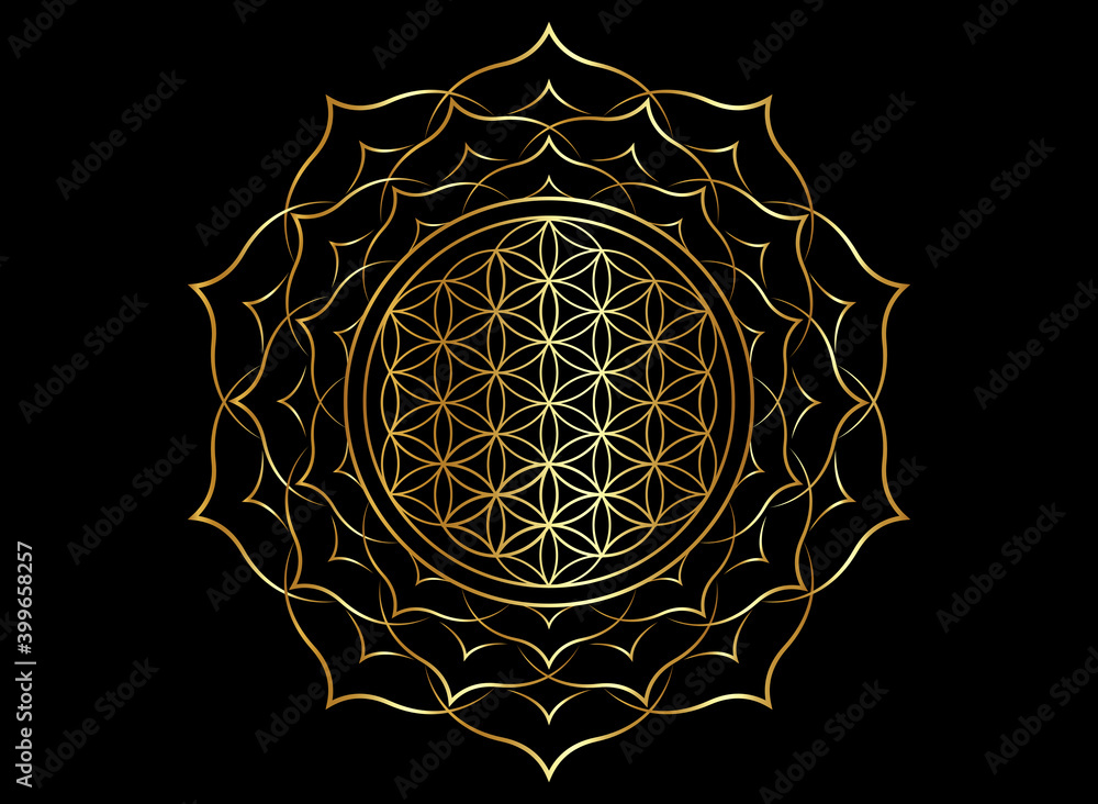 Sacred Geometry Flower Of Life Mandala | Best Flower Site
