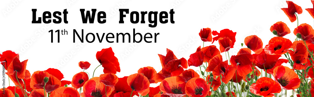 Obraz Transparent dzień pamięci. Czerwone kwiaty maku i tekst Lest We Forget 11th November na białym tle