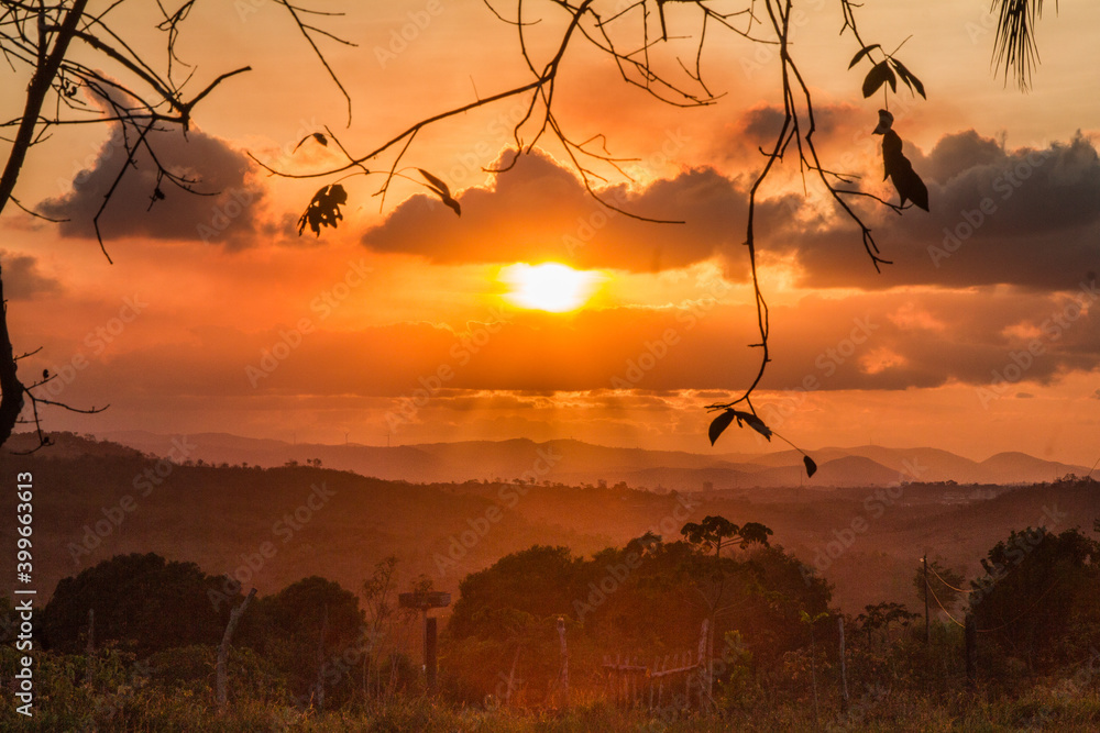 Naklejka premium Por do sol com nuvens e galhos