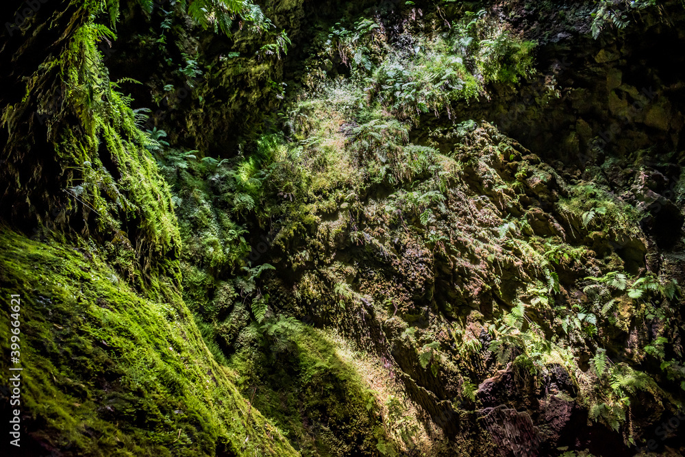 Interior cave wall with texture, moss and light entrance, humid place inside Algar do Carvão with selective focus, Terceira - Azores PORTUGAL Interior cave wall with texture, moss and light entrance, humid place inside Algar do Carvão with selective focus, Terceira - Azores PORTUGAL