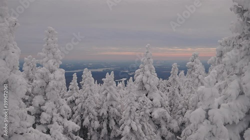 Wallpaper Mural Scenic View Of Trees Covered With Fresh Snow Against Colorful Sky In Orford, Quebec, Canada. - Static Shot Torontodigital.ca