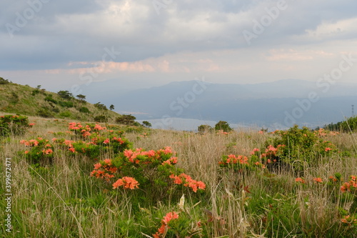 高ボッチ山の山頂から眺める初夏の諏訪湖の全景と諏訪市、下諏訪町の景色