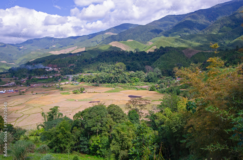 Bird's eye view of dried field and green forest on the mountains
