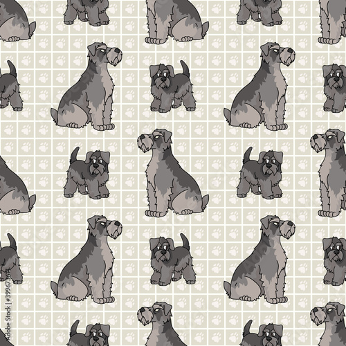 Cute cartoon Schnauzer sitting vector clipart. Pedigree kennel dog breed for obedience training. Purebred domestic puppy for dog show illustration mascot. Isolated canine hunting breed. 