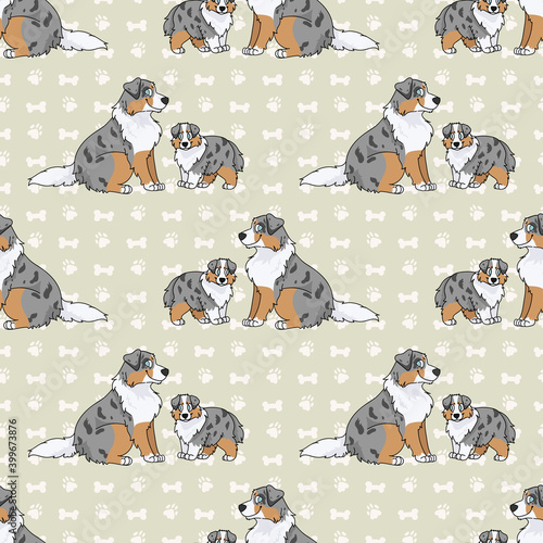 Cute cartoon Australian Shepherd sitting vector clipart. Pedigree kennel dog breed for obedience training. Purebred domestic puppy for dog show illustration mascot. Isolated canine hunting breed. 