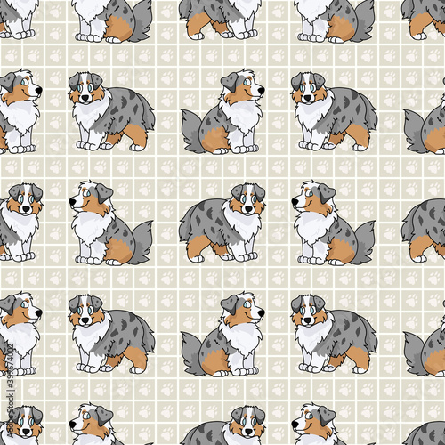 Cute cartoon Australian Shepherd sitting vector clipart. Pedigree kennel dog breed for obedience training. Purebred domestic puppy for dog show illustration mascot. Isolated canine hunting breed. 