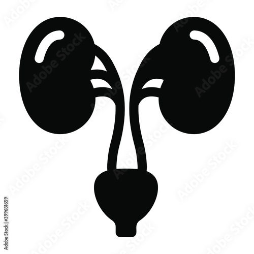 
Human renal system organ icon in filled design, kidneys icon
