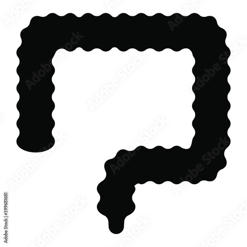 
Large intestine icon in glyph vector 
