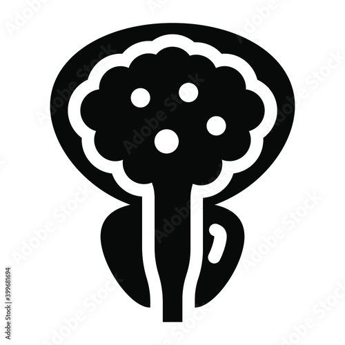 
A solid design of prostate gland icon

