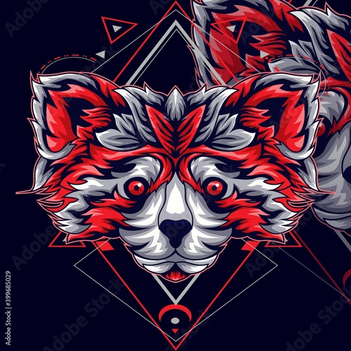 racoon red illustration photo