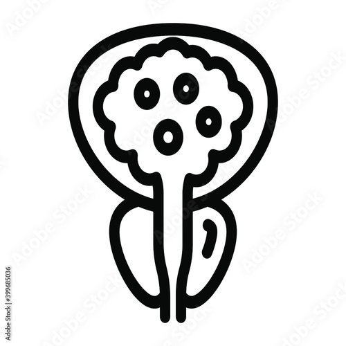 
A solid design of prostate gland icon
