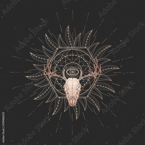 Vector illustration with hand drawn buffalo skull, dead head moth and Sacred geometric symbol on vintage paper background with torn edges. Abstract mystic sign. Image in sepia  and red color. 