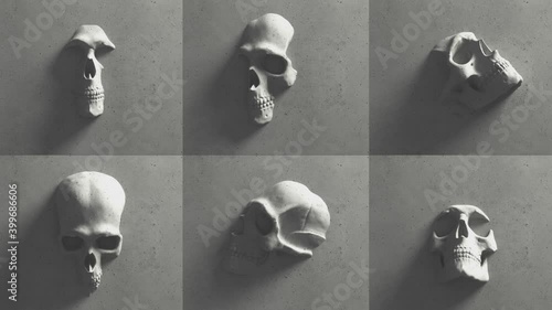 Composition Of 6 Skulls On Walls