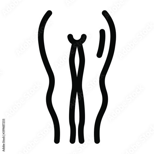 
A solid design of human legs, human lower limb 
