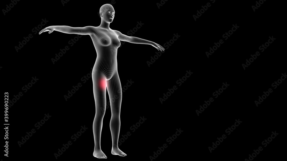 Obraz premium 3d illustration of a woman xray hologram showing pain area on the leg area