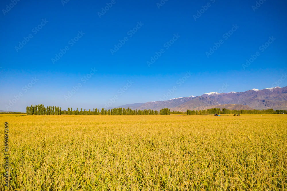 Landscape of Xinjiang, Asia