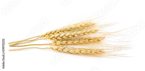 Barley seed on white background