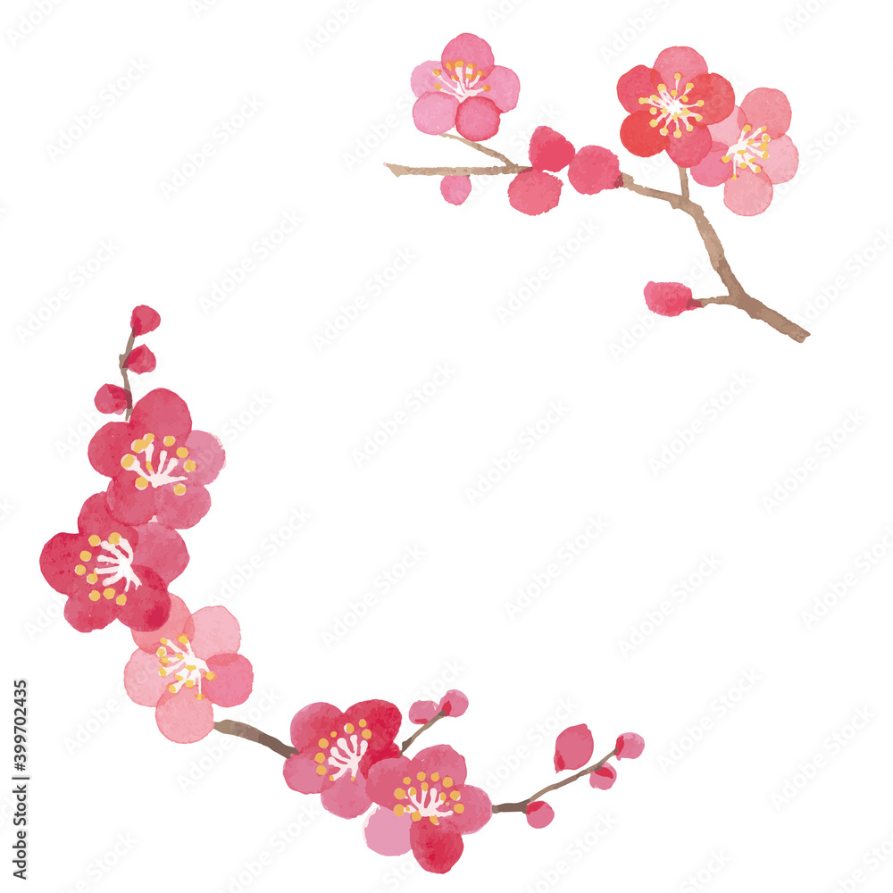 水彩の梅フレーム ベクターイラスト Stock Vector Adobe Stock